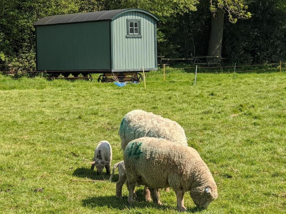The Piggery Villa Cowfold Buitenkant foto